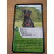 Défis Nature Dogs - Bioviva - Card