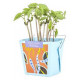 Magic Bean - Mano Verde - Wonderful Box Growing