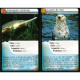 Défis Nature Marine Animals - Bioviva - 2 cards