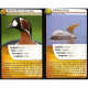 Défis Nature Birds - Bioviva - 2 cards