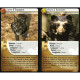 Défis Nature Carnivorous - Bioviva - 2 cards