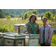 Raw Honey Wildflower 500g - Miels D'Anicet - Anne-Virginie and Anicet