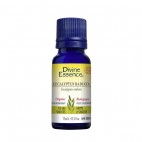 Eucalyptus Essential Oil