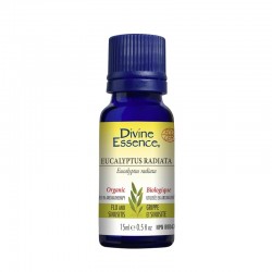 Eucalyptus Essential Oil