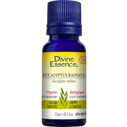 Huile Essentielle Eucalyptus Radiata 30ml - Divine Essence Divine Essence