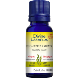 Eucalyptus Essential Oil