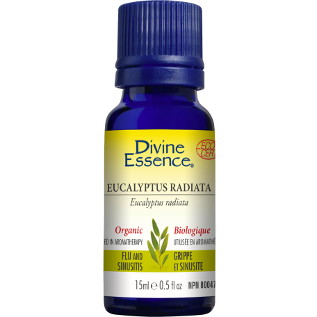 Huile Essentielle Eucalyptus Radiata 30ml - Divine Essence Divine Essence