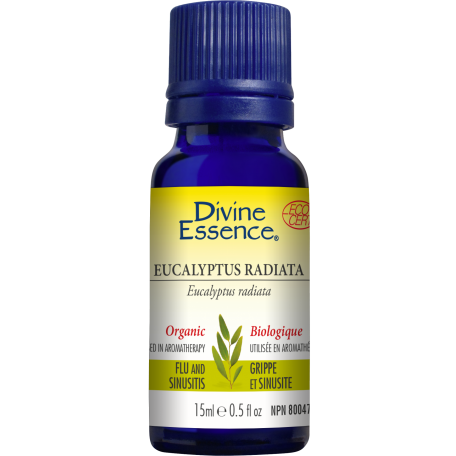 Eucalyptus Essential Oil