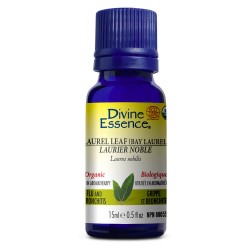 Laurel leaf 100% essential oil - Divine Essence - 15 ml