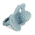 Teether Raz Berry