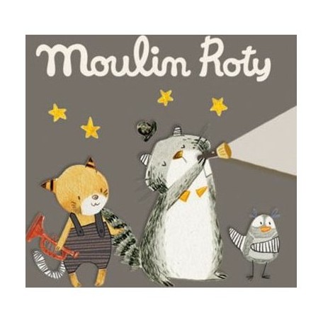 3 discs for storybook torche - Moulin Roty