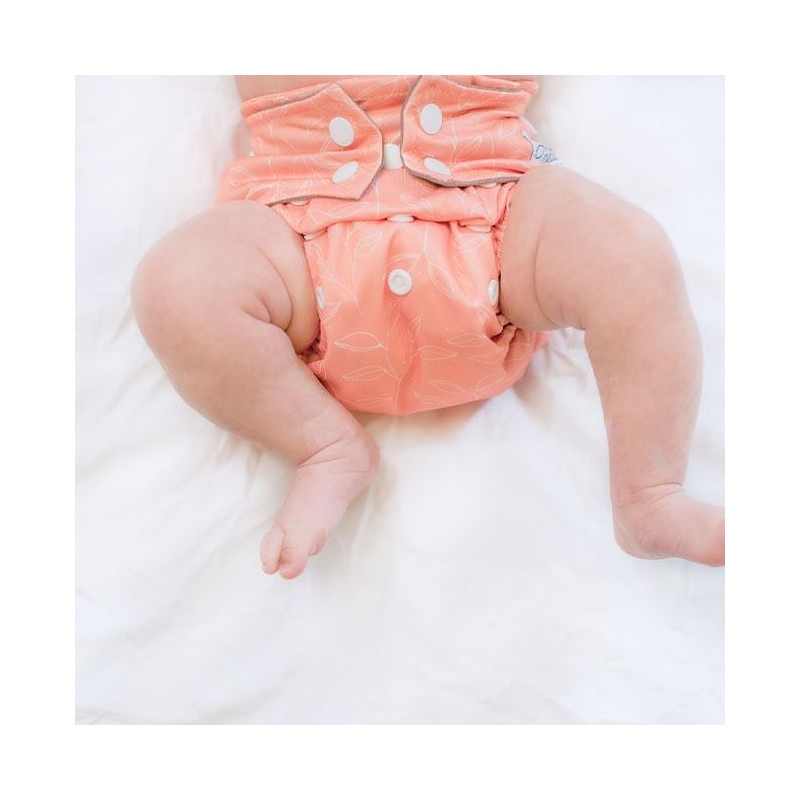 Washable New Born diapers - La Petite Ourse