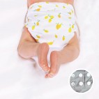 Washable Pocket Diaper - La Petite Ourse
