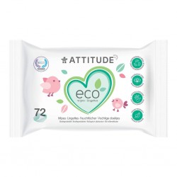 Biodegradable Wipes (72)