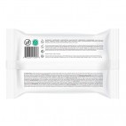Biodegradable Wipes (72)