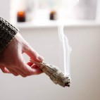 White Sage Smudge Stick- La Looma