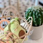 Avocado Teething Rattle - Mary Meyer