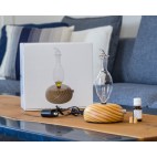 Essential oils diffuser Diffusaroma - Zayat Aroma
