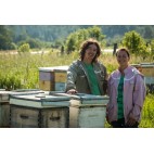 Raw Wildflower Honey 500g - Miels D'Anicet