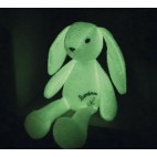 Luminou the rabbit - Jemini