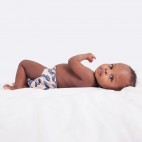 Washable Pocket Diaper - La Petite Ourse