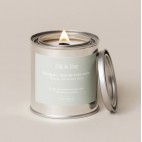 Soya Mango and Green Coconut Candle 8oz - Oli & Eve