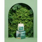 Pine paradise Soy Wax Candle 190g - Moonday