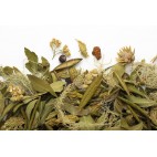 Wild Taiga Herbal Tea 20g - Camelia Sinensis