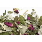 La Belle Humeur Organic Herbal Tea 20g - Camelia Sinensis