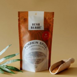 Thé à la citrouille biologique Pumpskin Spice - Bush Berry Bush Berry