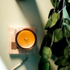 Bougie Cire de soja 16oz - Cardamome et tabac - UPSIMPLY UPSIMPLY
