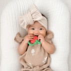 Strawberry teething toy - Itzy Ritzy