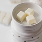 Cubes de cire soya Feu de bois - Feu & Co Feu & Co