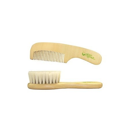 Ensemble Brosse et Peigne